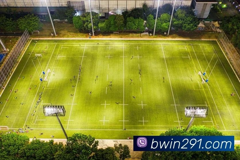 bwin必赢APP 封面图
